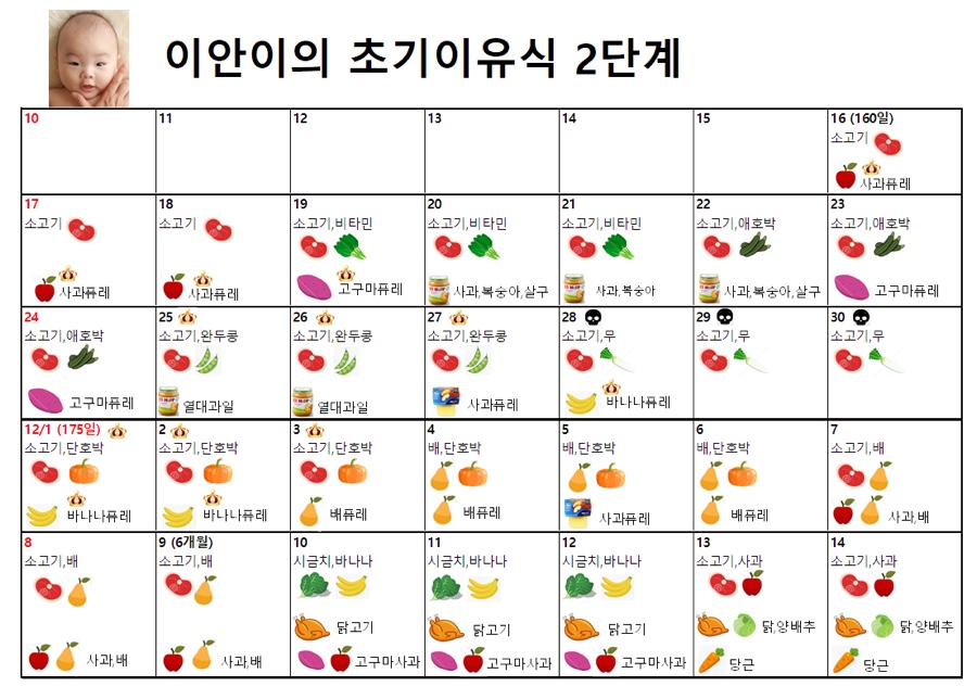 초기 이유식 만들기 2단계 입자, 농도 w 베이비 블레처